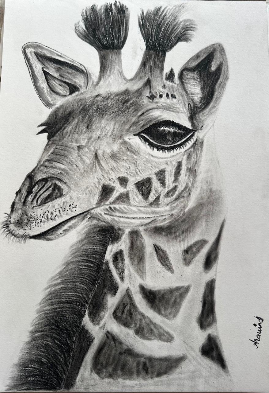 Giraffe - image 1 - student project