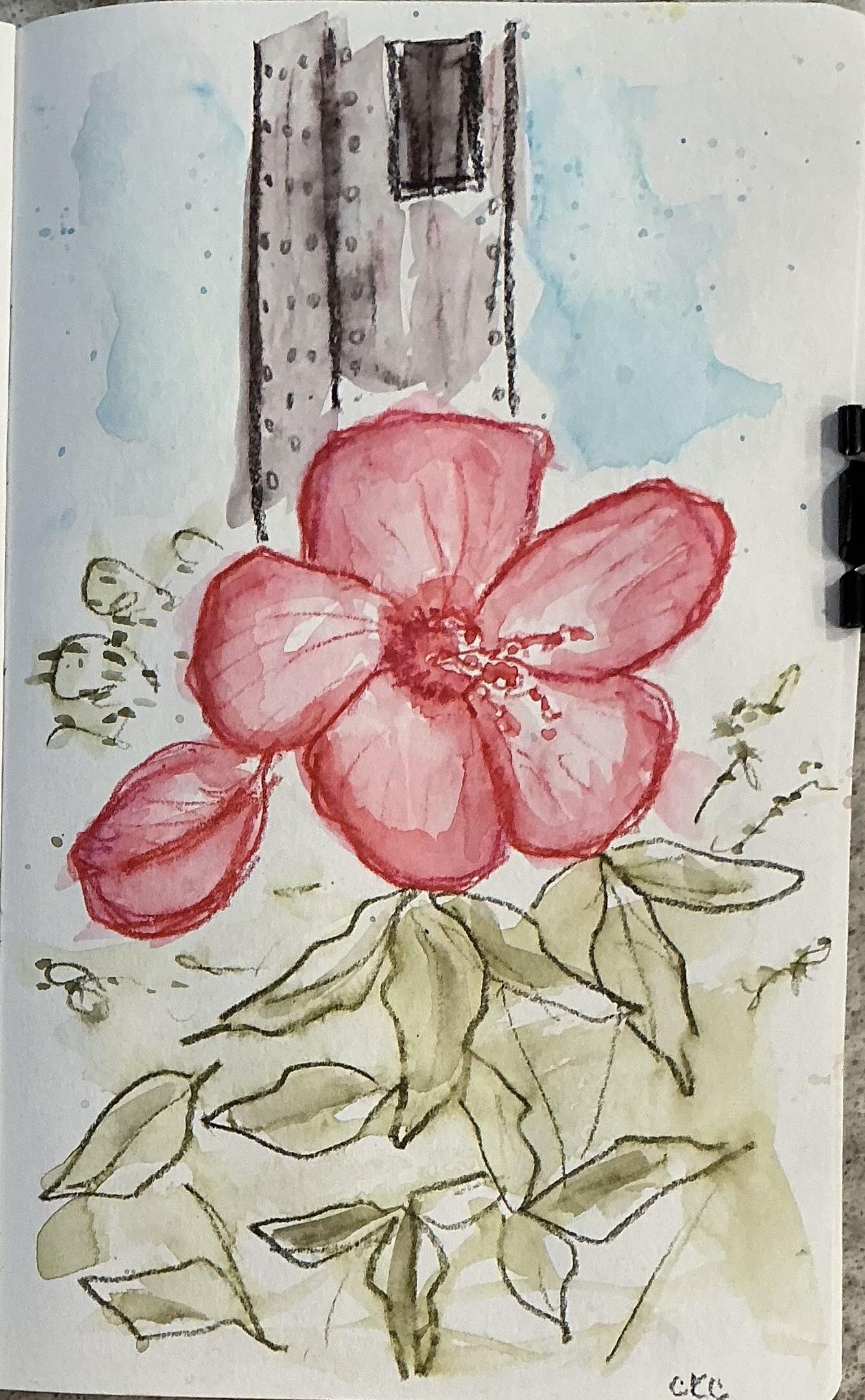 Watercolor Pencil Practice - image 1 - student project