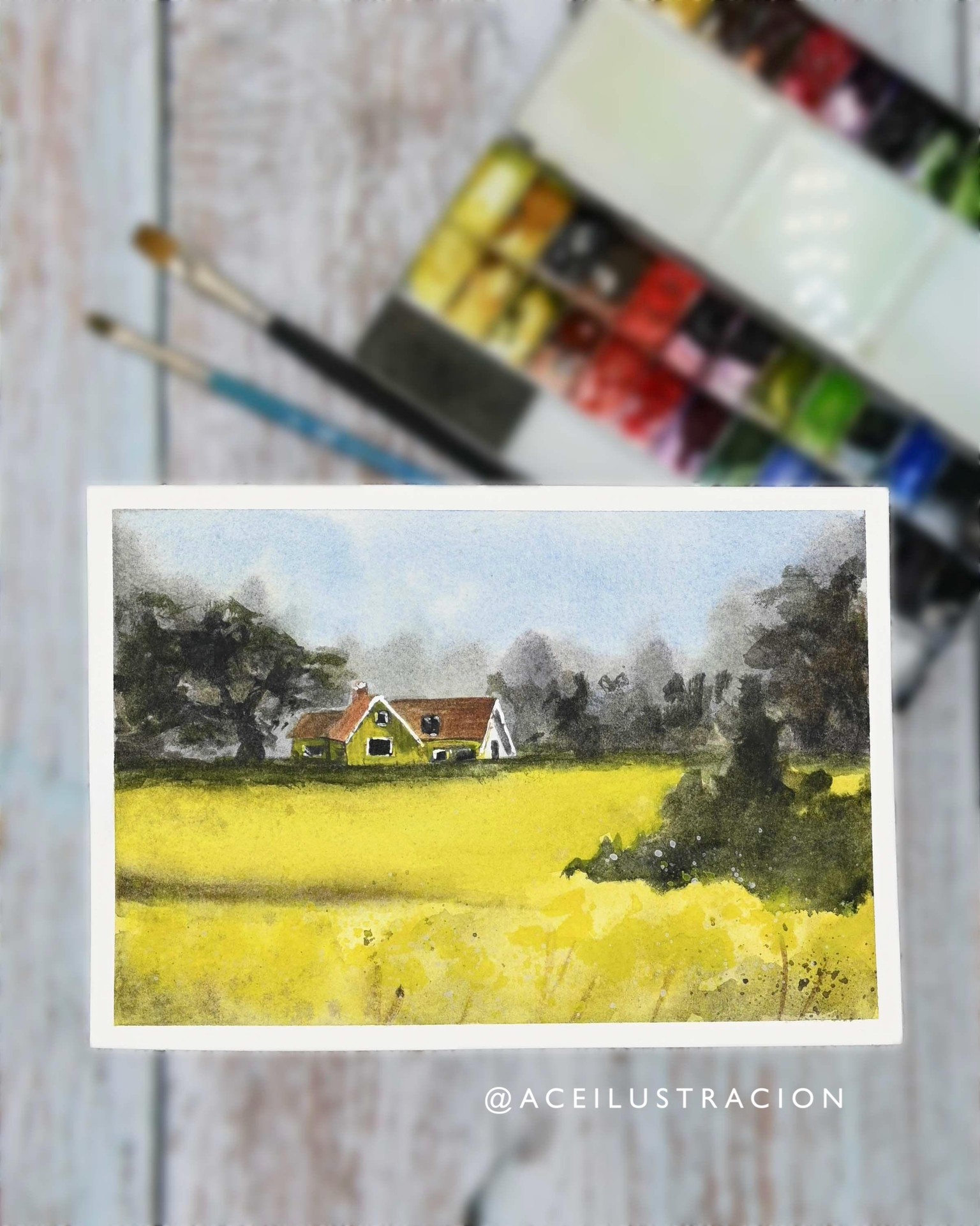 Sweeden's Yellow. - image 3 - student project