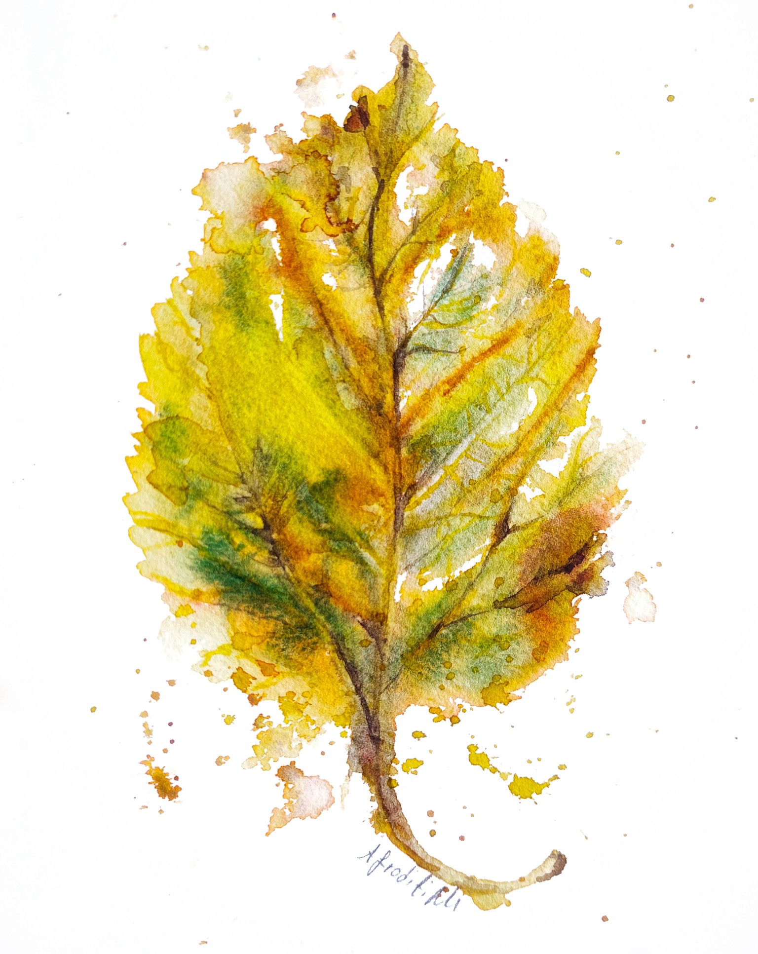 Autumn leaf and mushroom - image 2 - student project