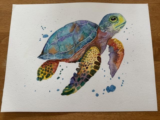 Expressive Turtle - Will Ellison - image 1 - student project