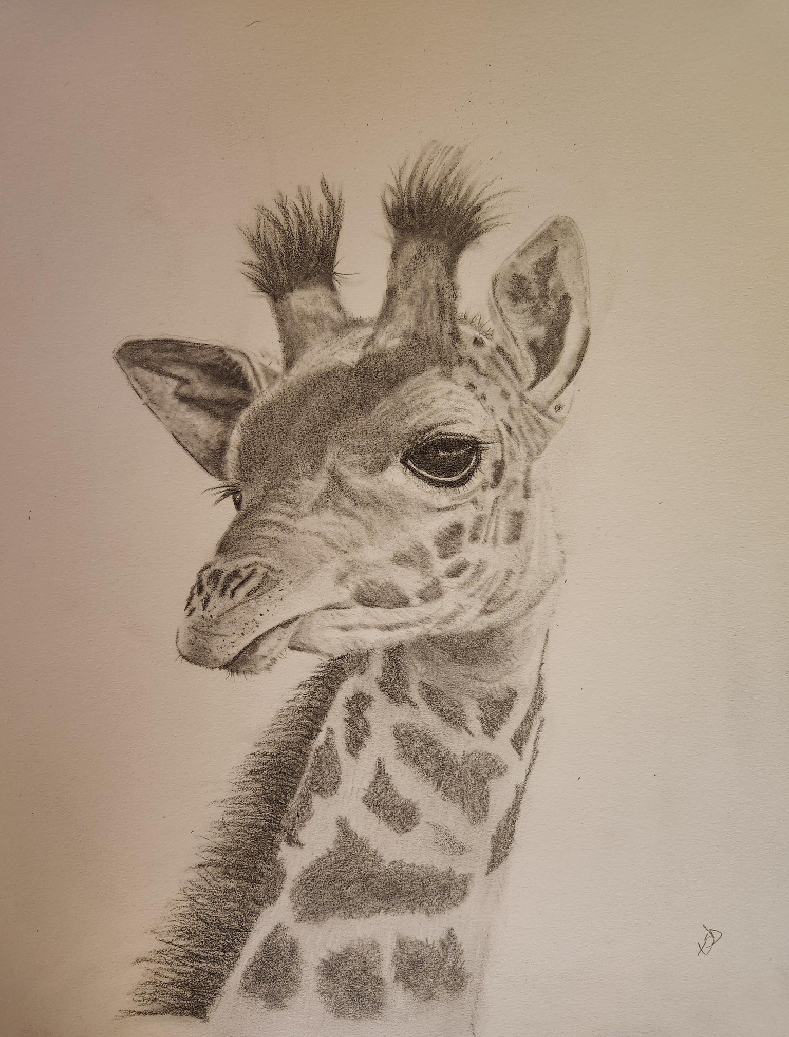 Geoffrey the Giraffe - image 2 - student project