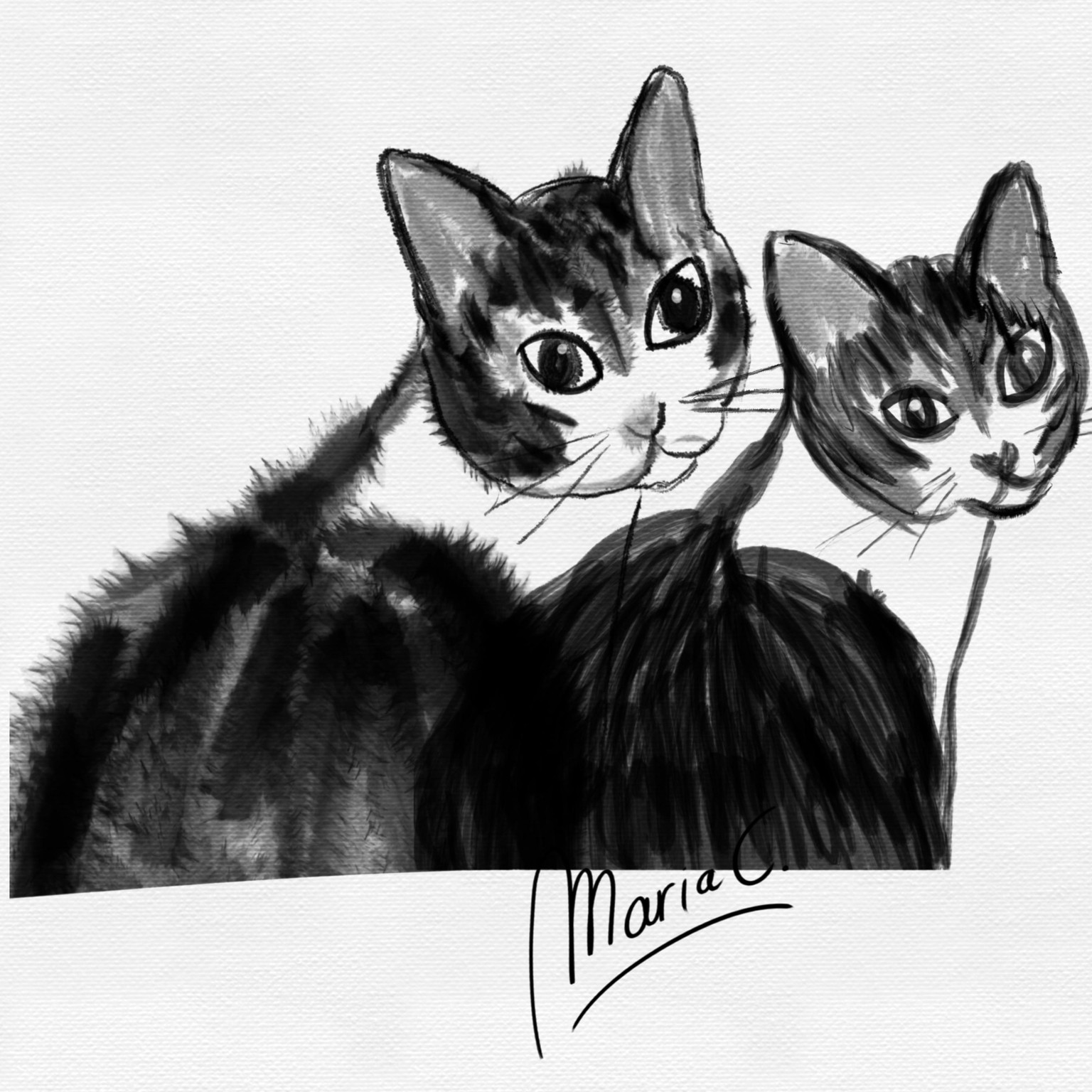 Inky cats - image 3 - student project