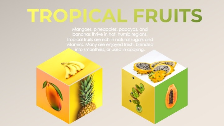 A Wonderful World of Fruits - image 6 - student project