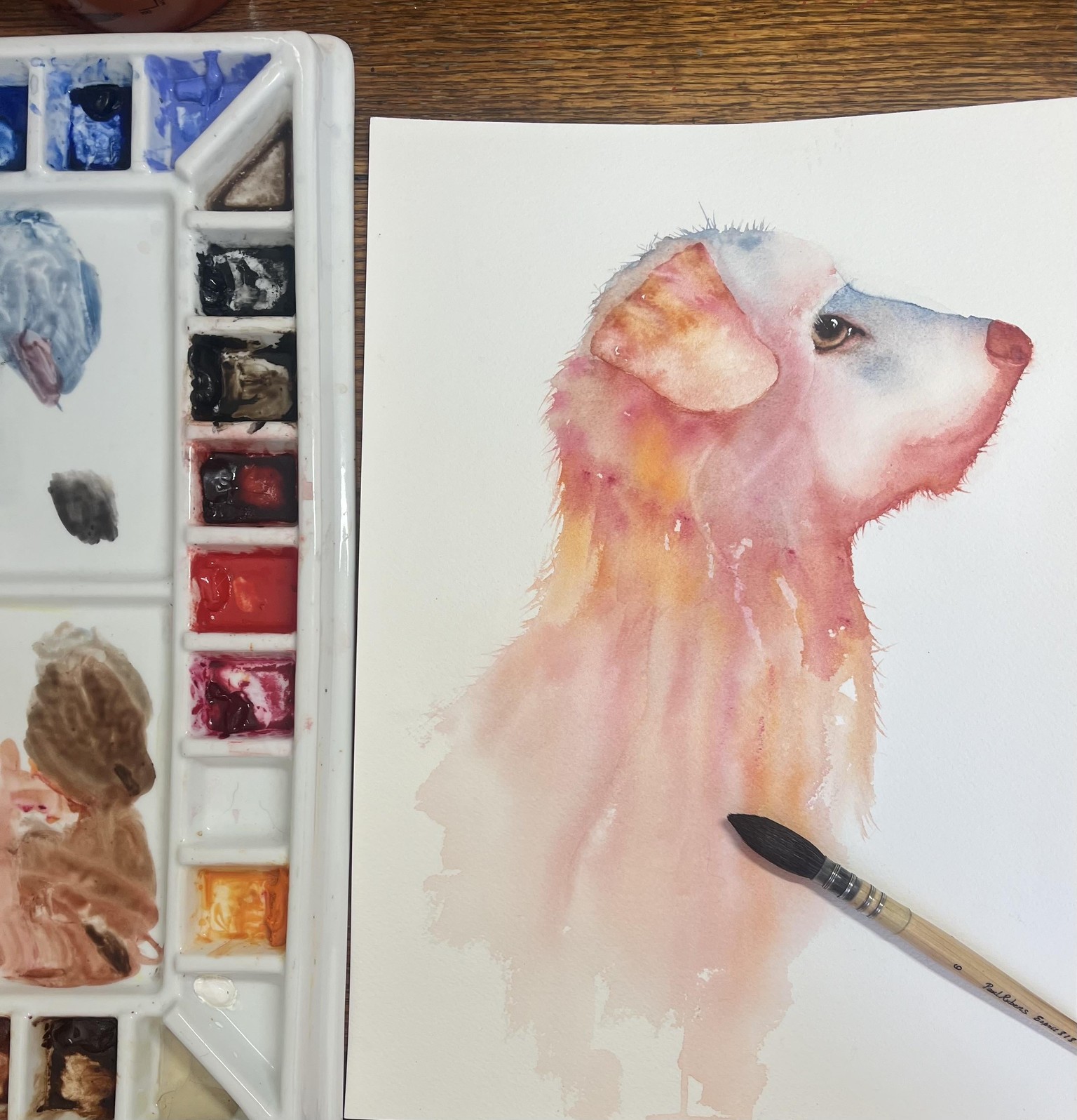 Fun furry dog in loose watercolor - image 1 - student project