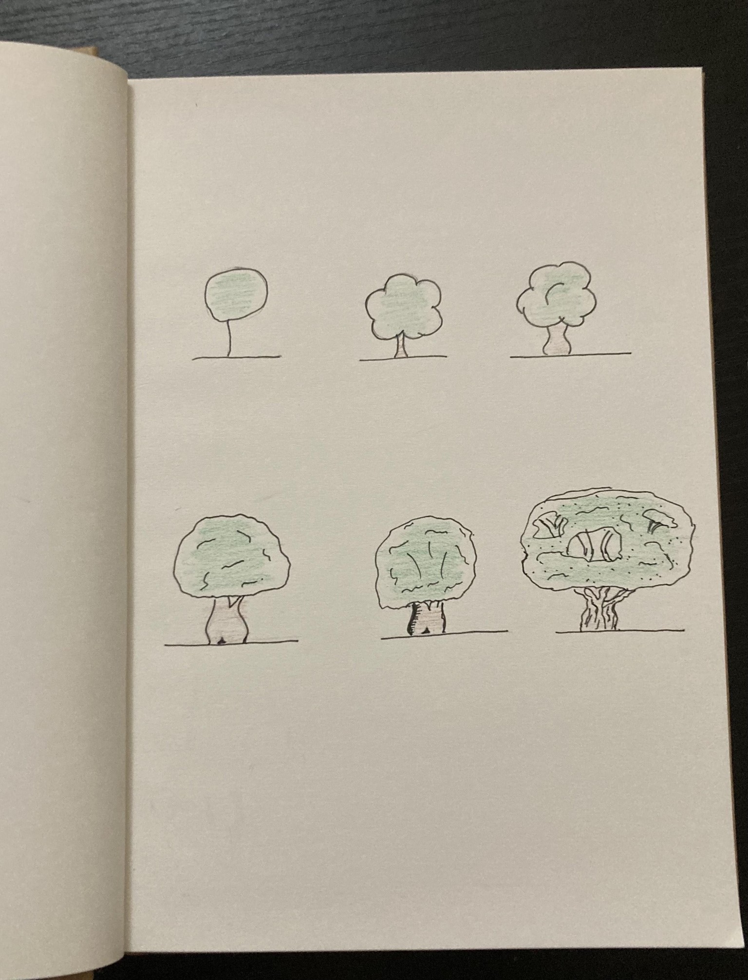 Trees - image 1 - student project