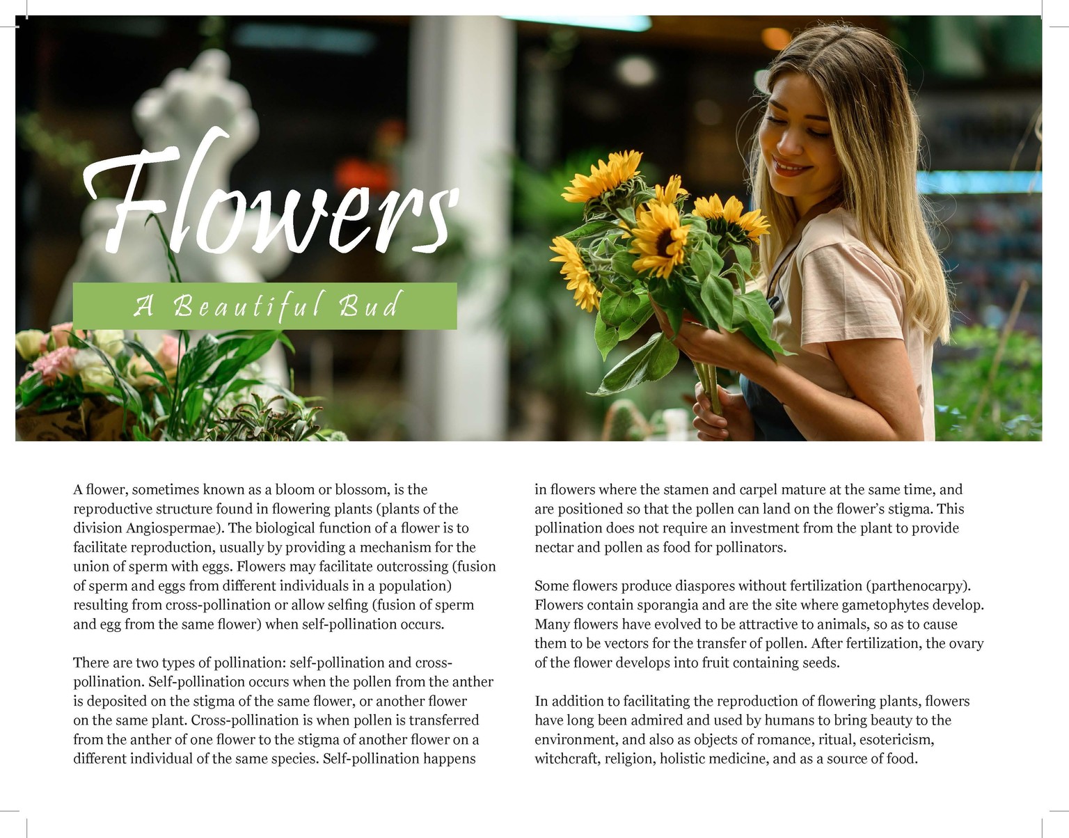 Indesign Projects - image 5 - student project
