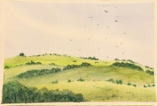 Mini Landscapes - image 8 - student project