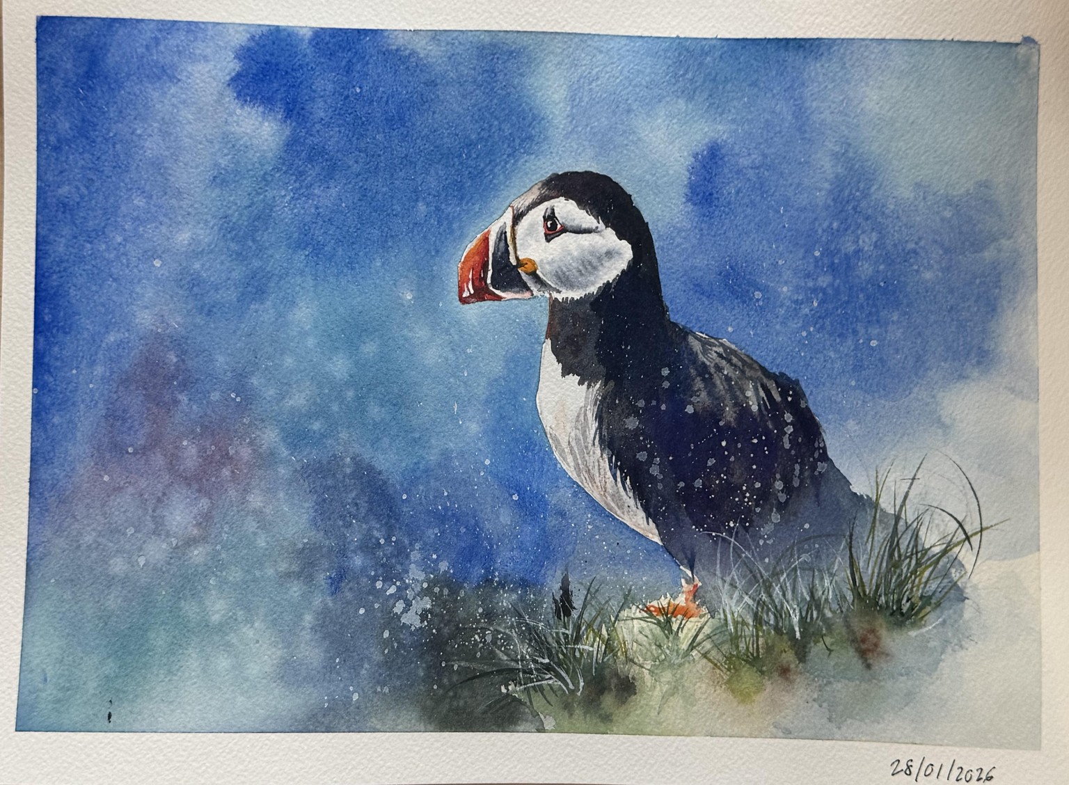 Expressive Puffin - image 1 - student project