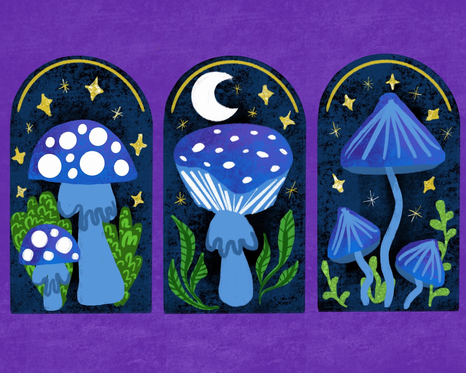 Mushrooms. .. - image 1 - student project