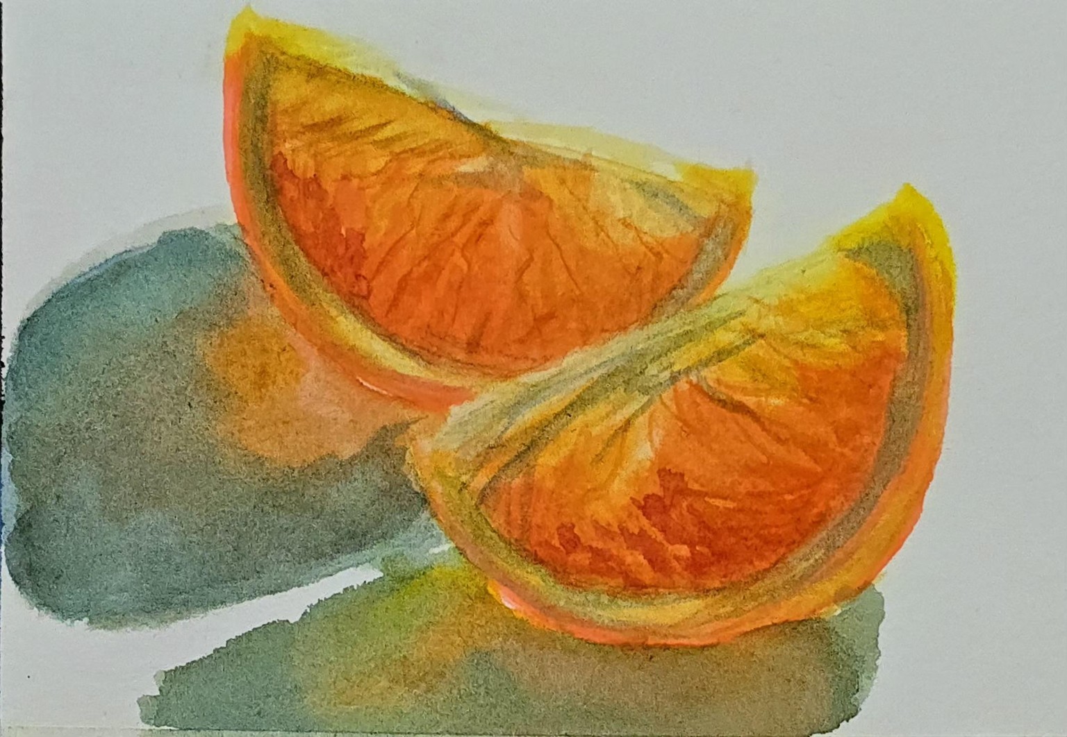 Watercolour citrus fruits - image 1 - student project