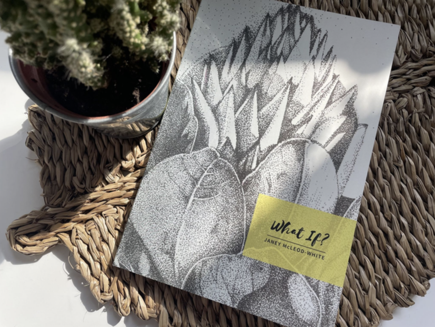 Book Photography - image 6 - student project