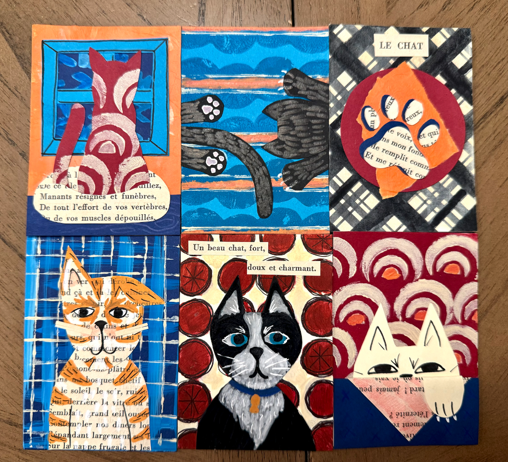 Cats - image 1 - student project