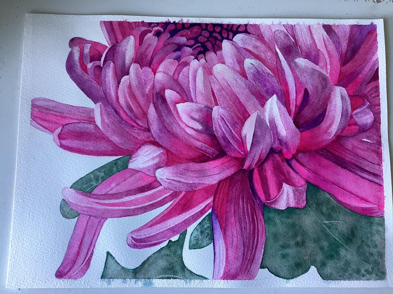 Chrysanthemum - image 1 - student project