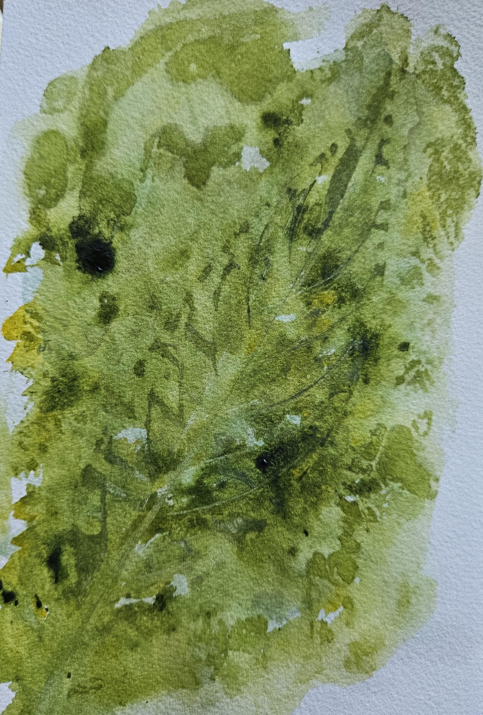 Leaf Stamping - image 2 - student project