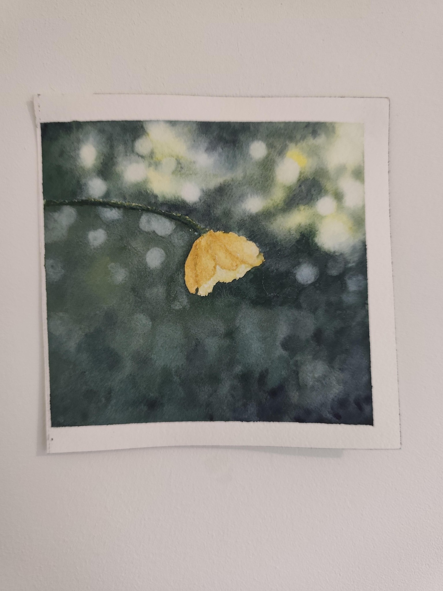 Effet bokeh - image 1 - student project