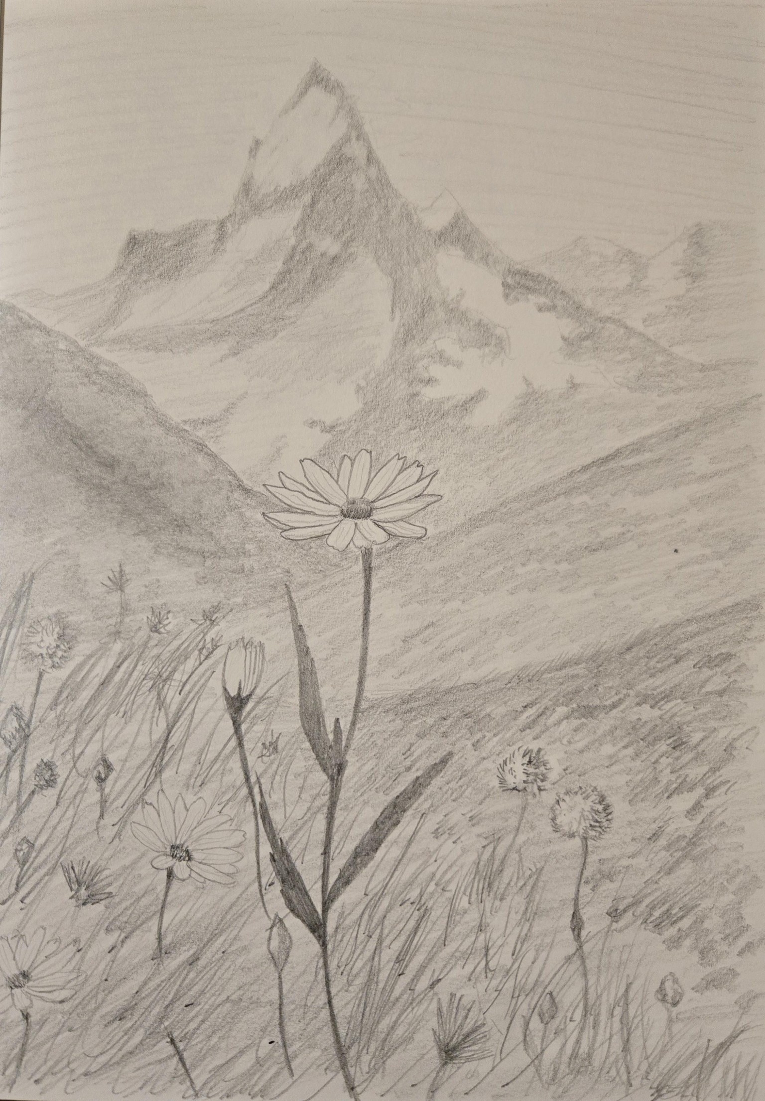 Landscapes, mushrooms, and hedgehog - image 2 - student project