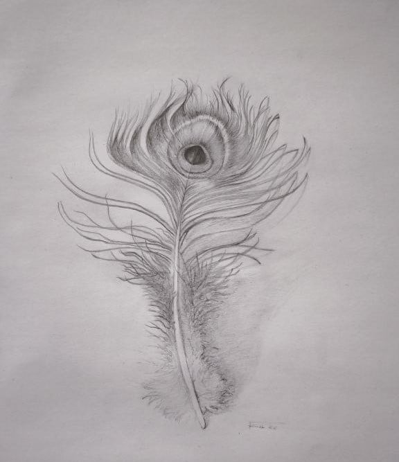 The Language of Line: Part 3 of The Drawing Laboratory - image 3 - student project