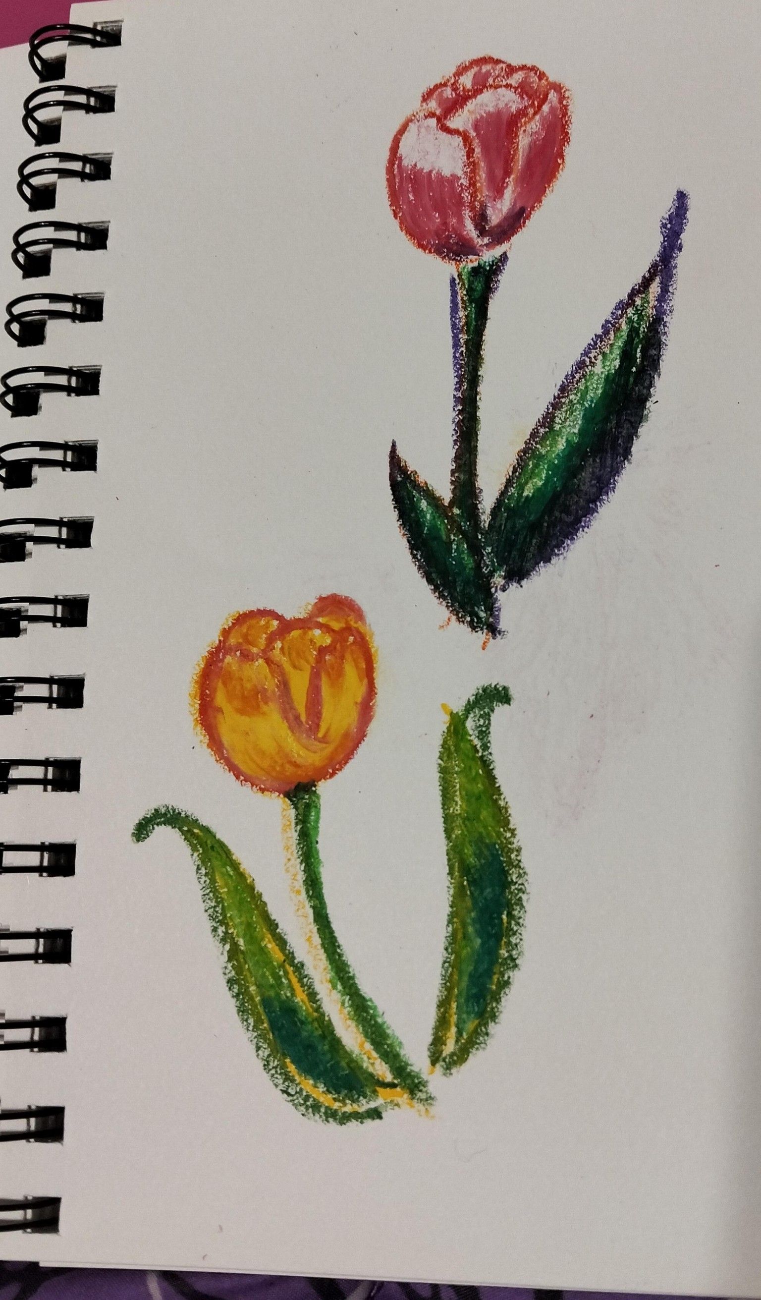 oil pastel tulips - image 1 - student project