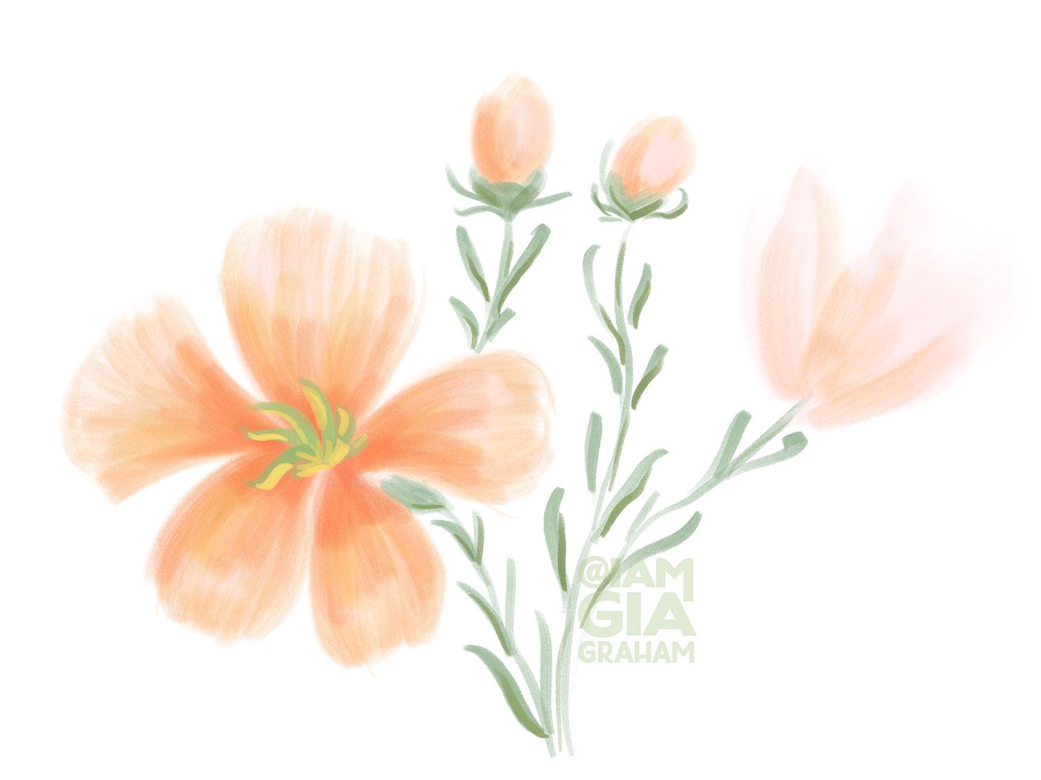 Wildflower Sketches - image 1 - student project