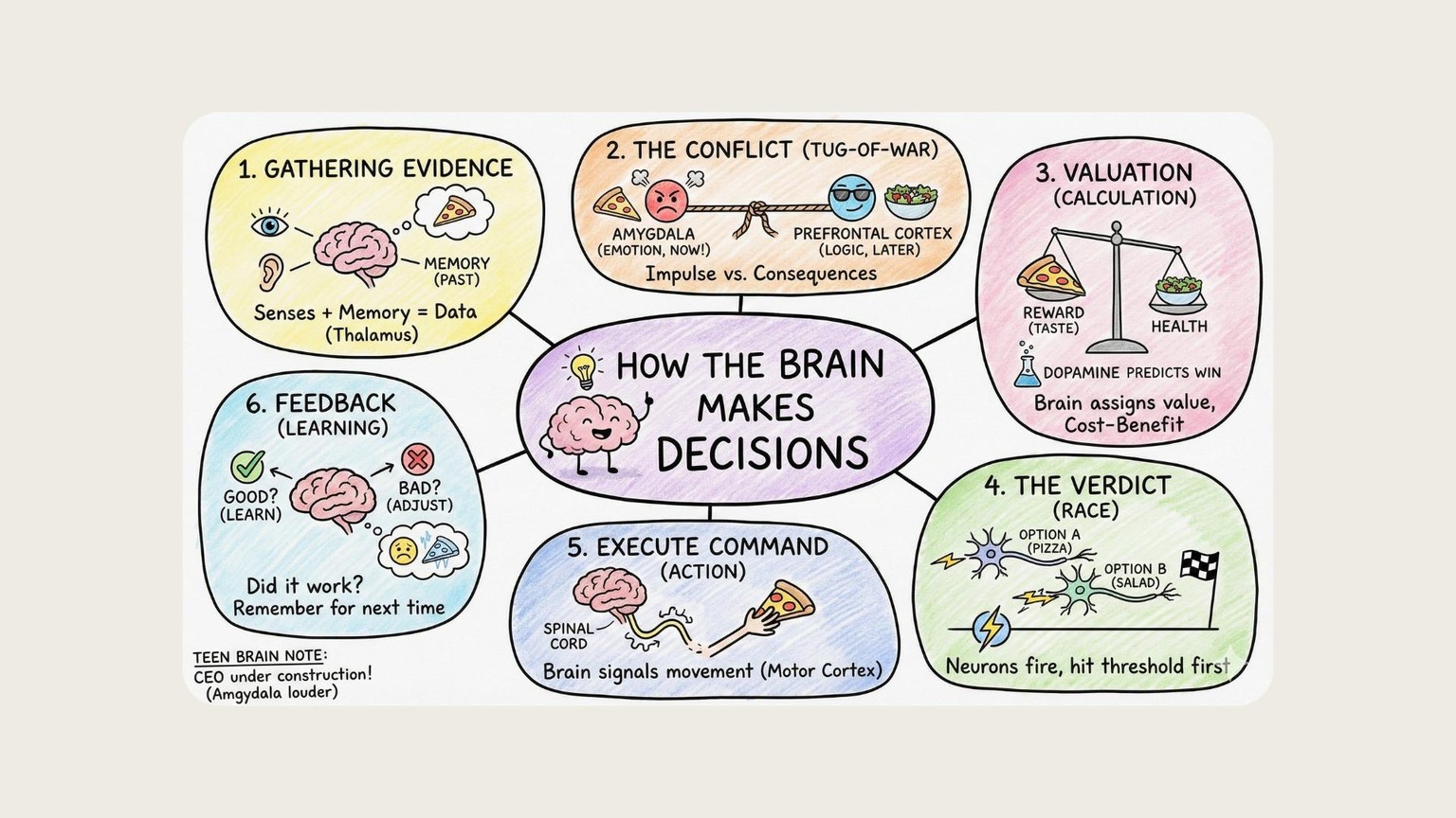 Sharing my sketchnotes, can’t wait to see yours! - image 1 - student project