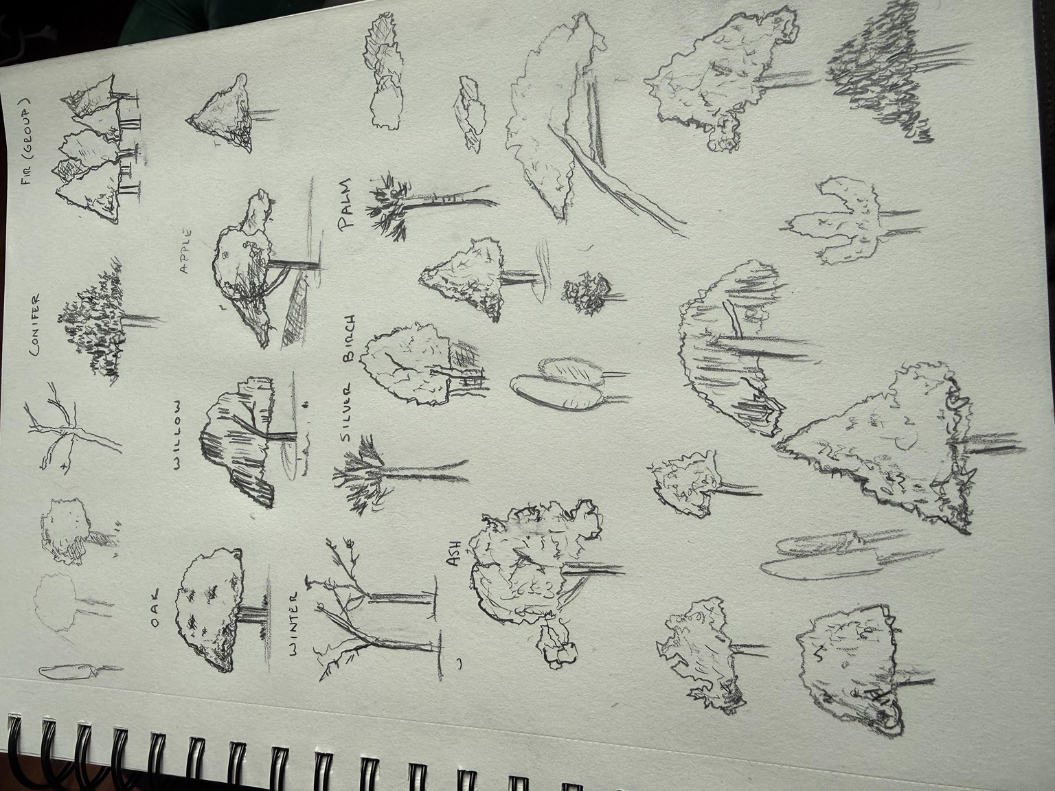 Tree Doodling - image 1 - student project