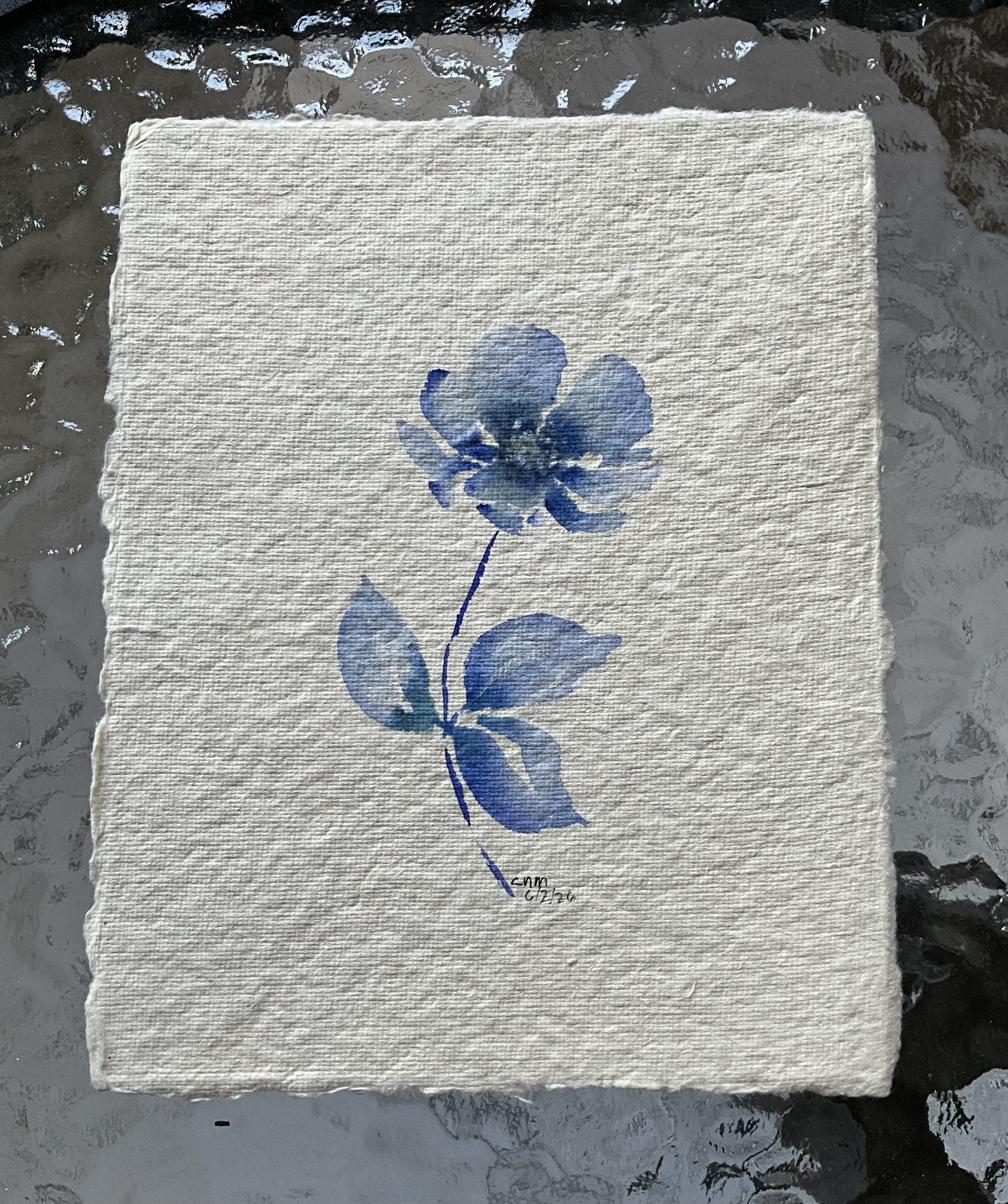 Floral Practice - image 2 - student project