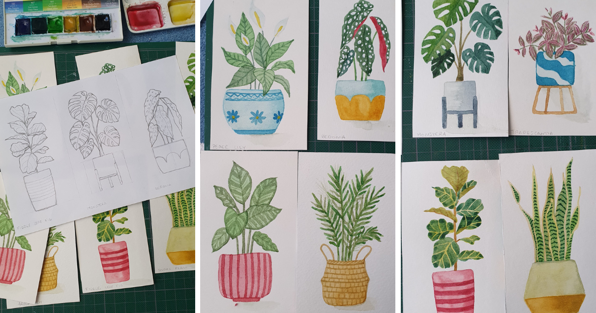 14 days, 14 plants, and one big lesson : just keep going - image 1 - student project