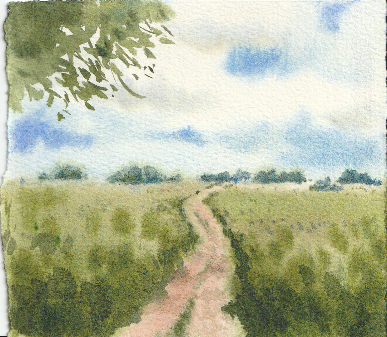 My journey learnig watercolor! - image 3 - student project