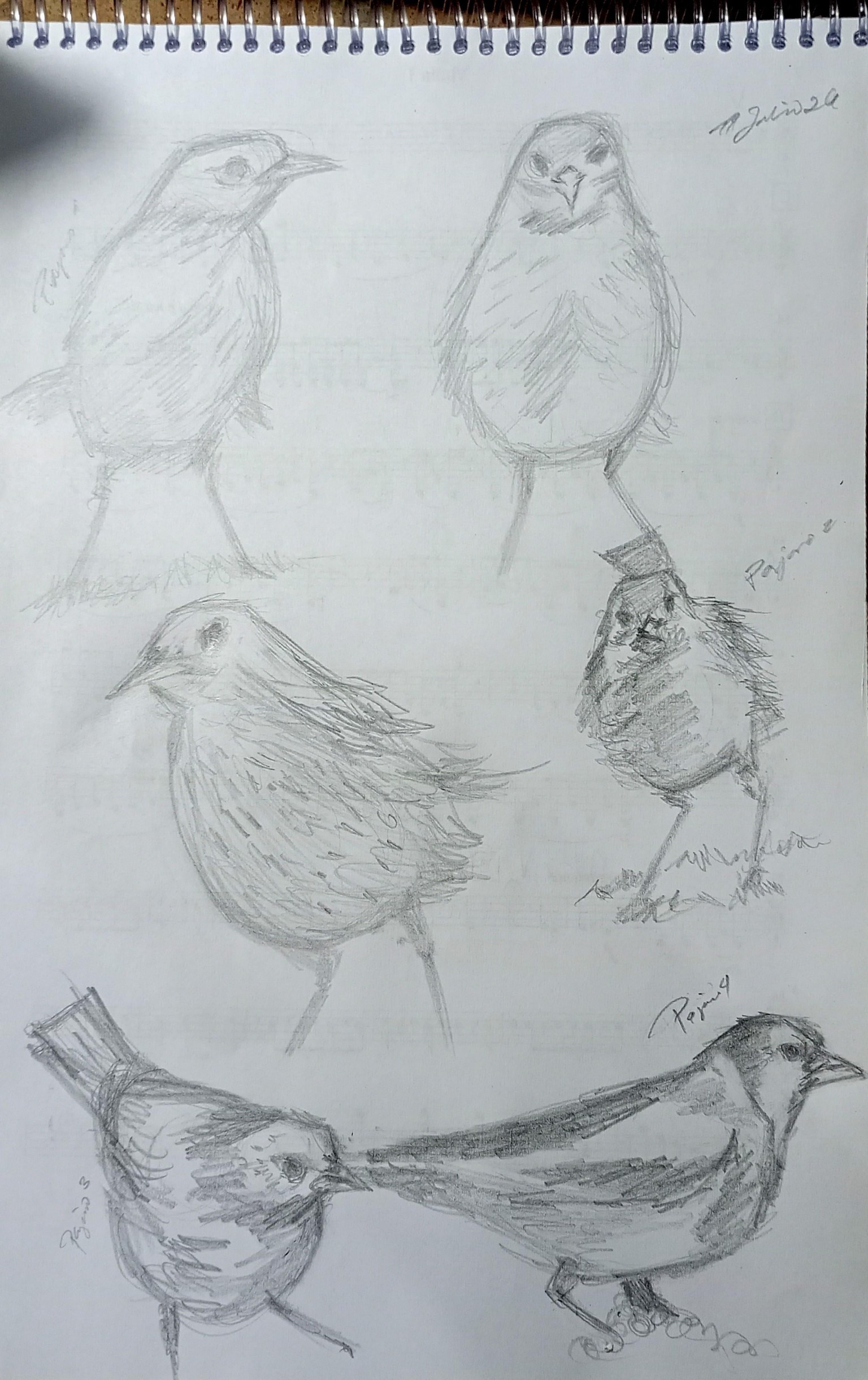 Prácticas - image 1 - student project