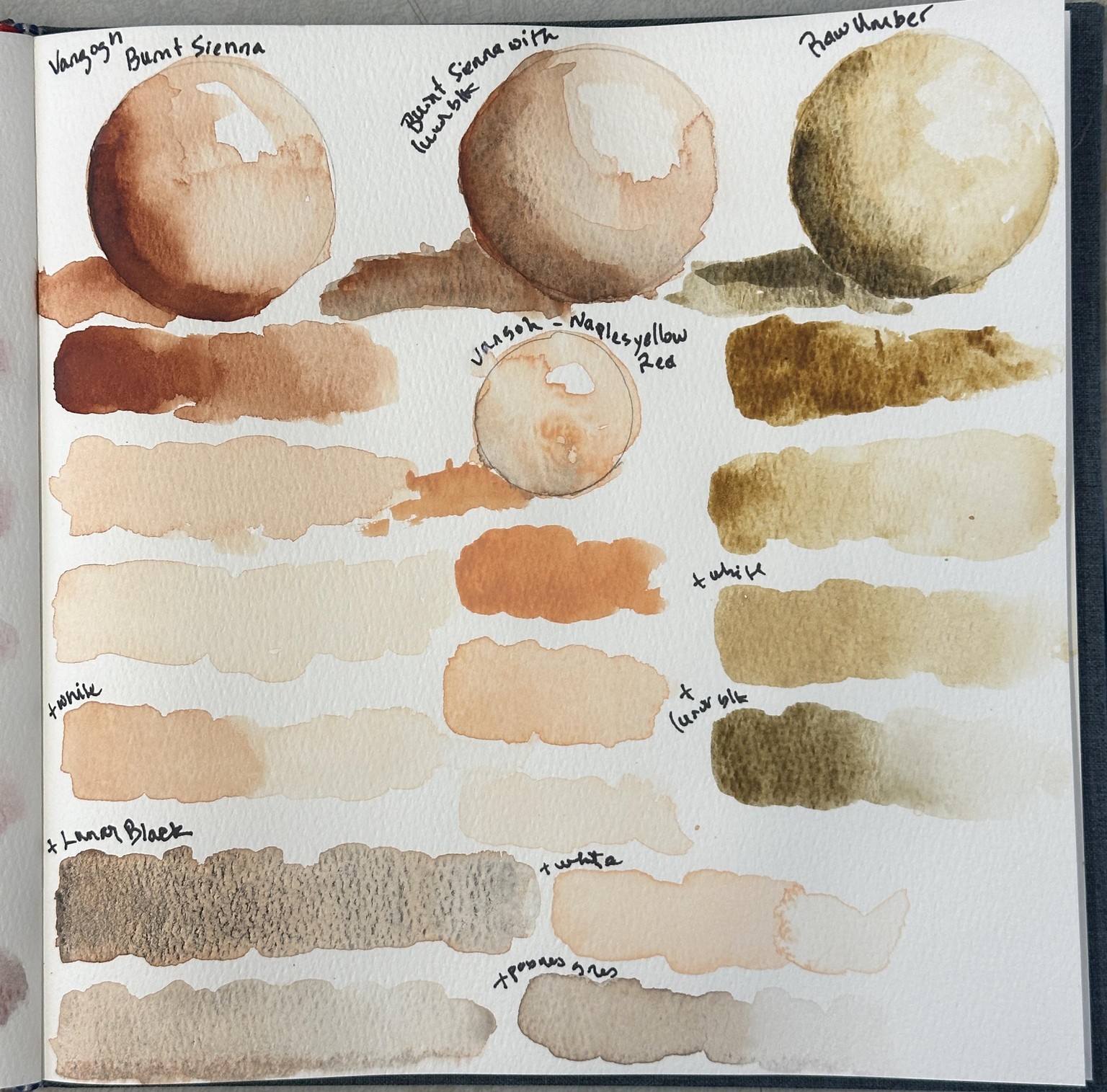 Color Mixing a Variety of Skin Colors - image 4 - student project