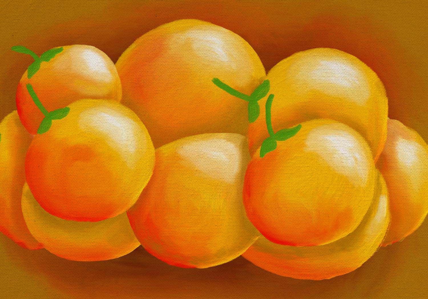 Oil Painting Oranges - image 1 - student project