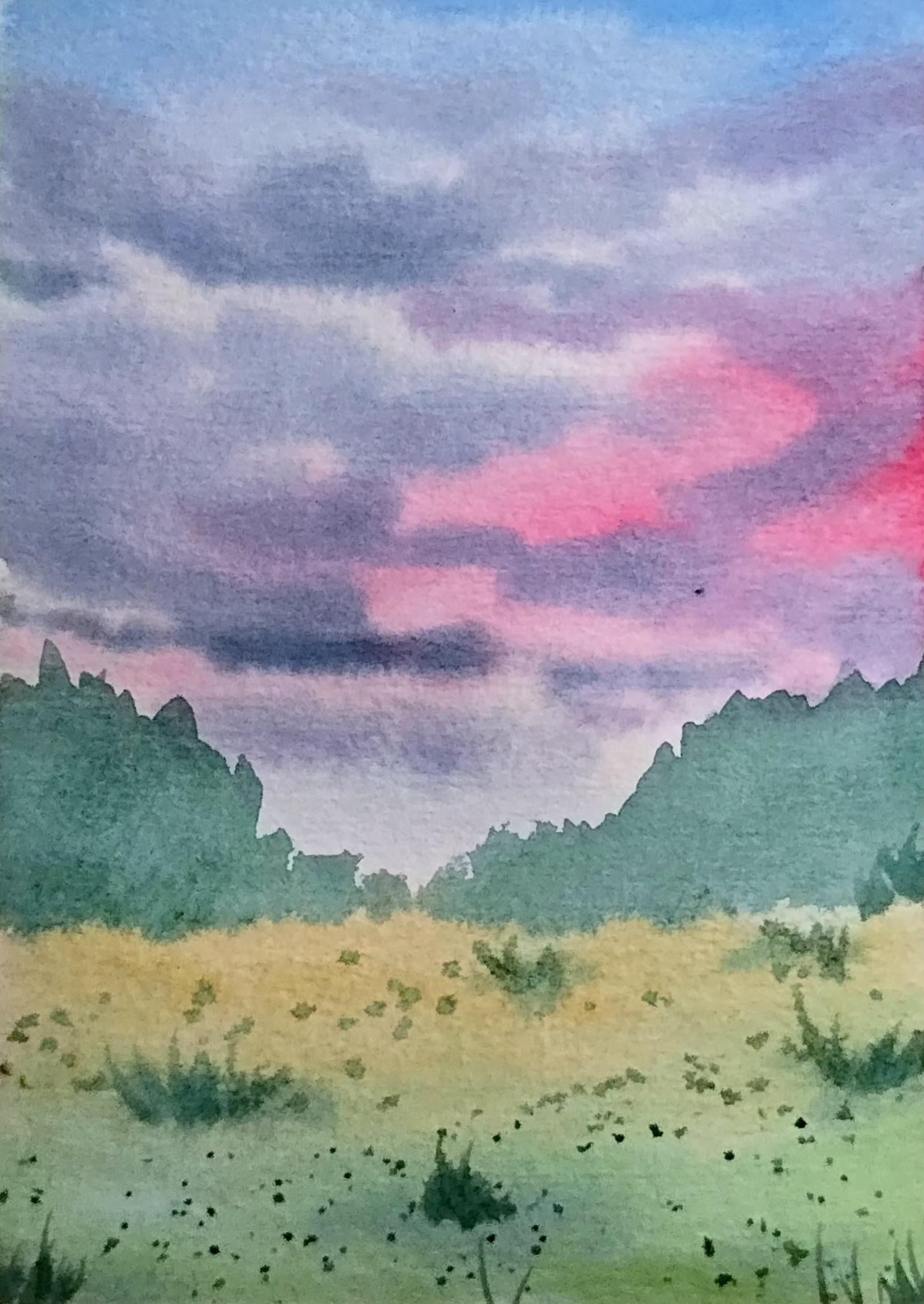 Nature paintings - image 5 - student project