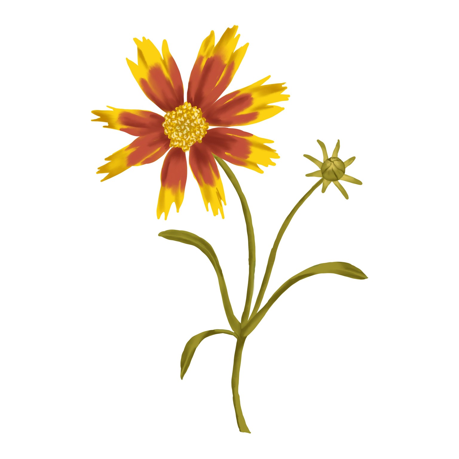 10 Day Challenge… so far - image 1 - student project