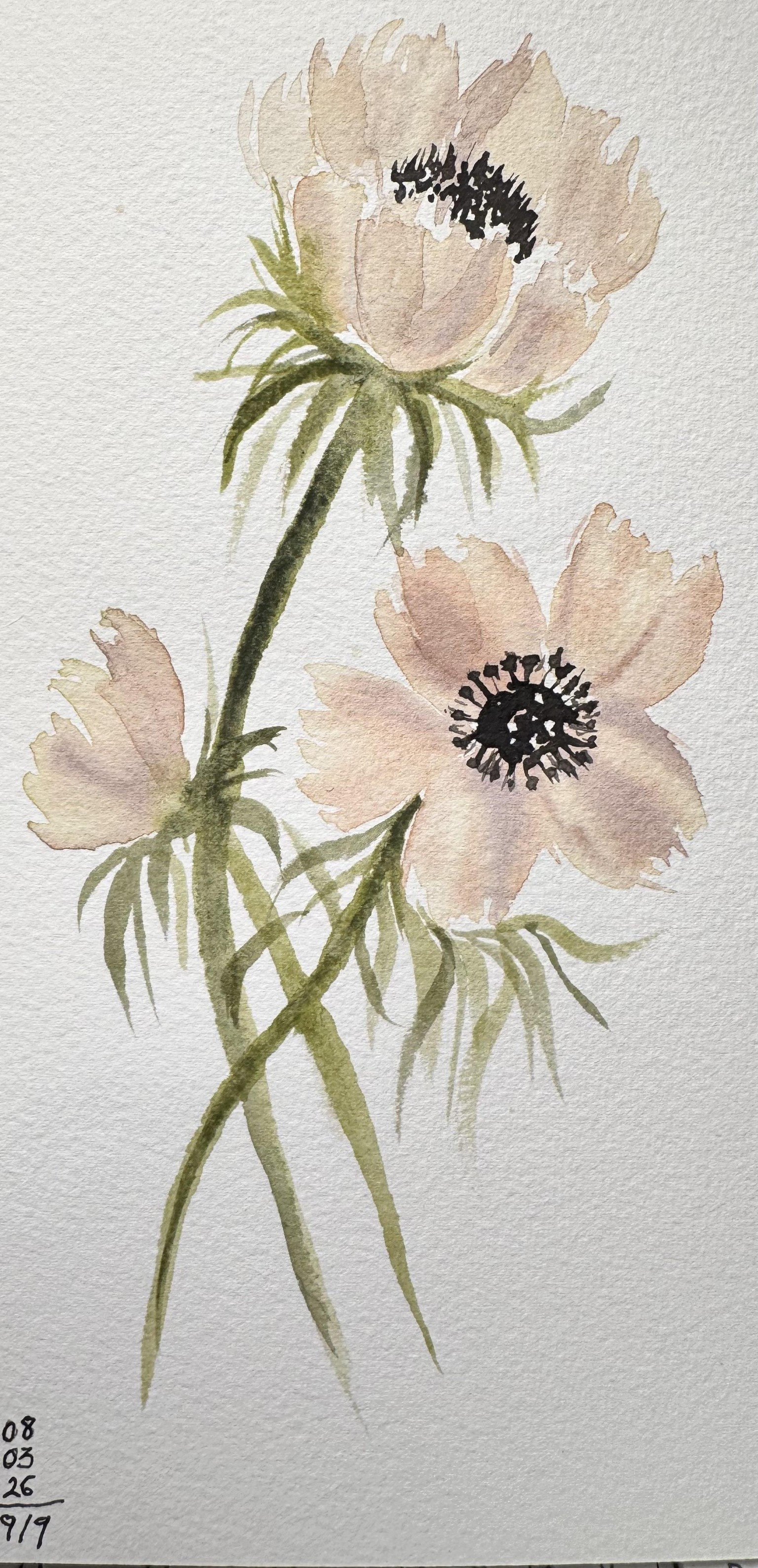 9 loose watercolor flowers - image 2 - student project