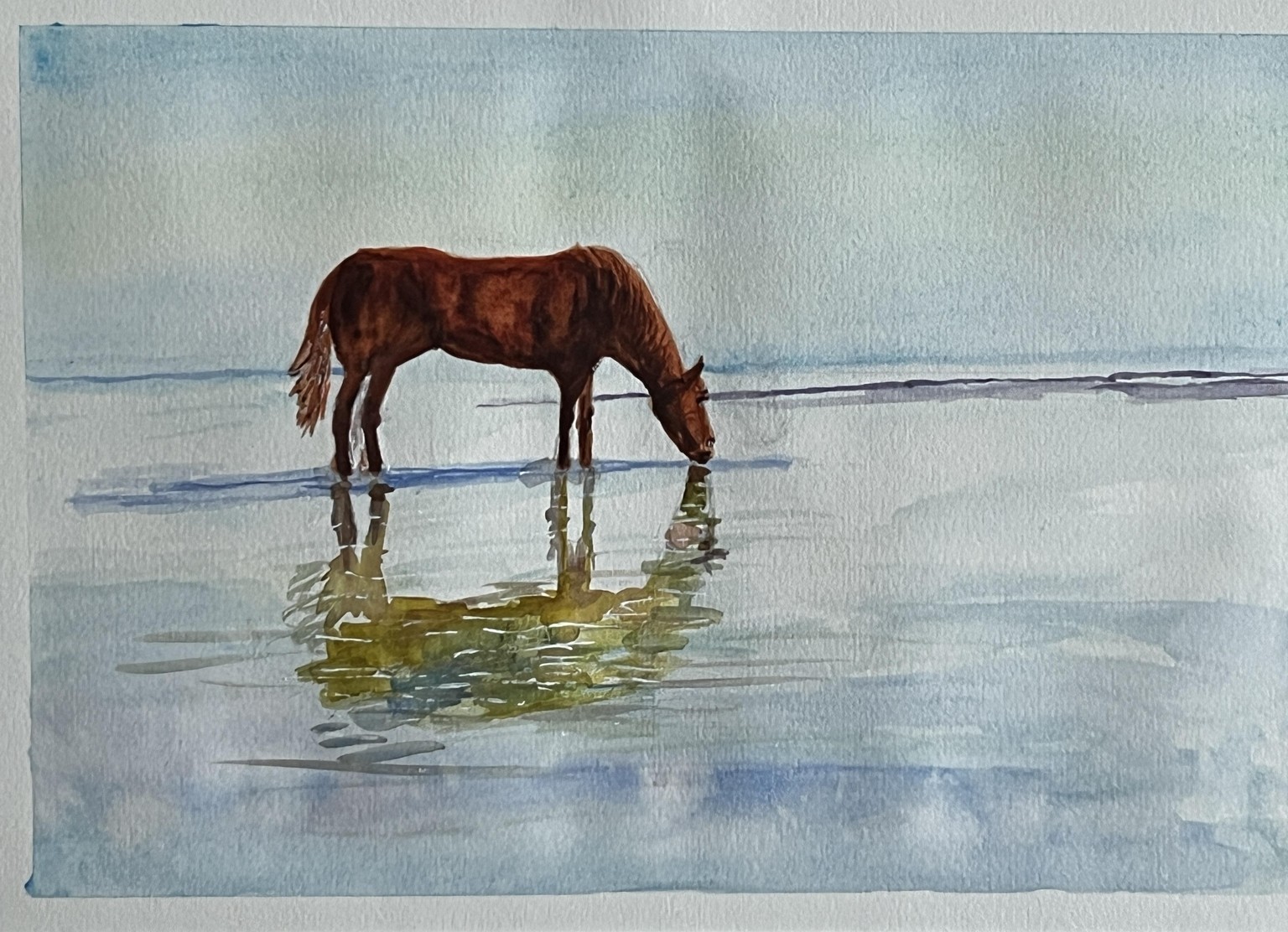 Horse on ice - image 1 - student project