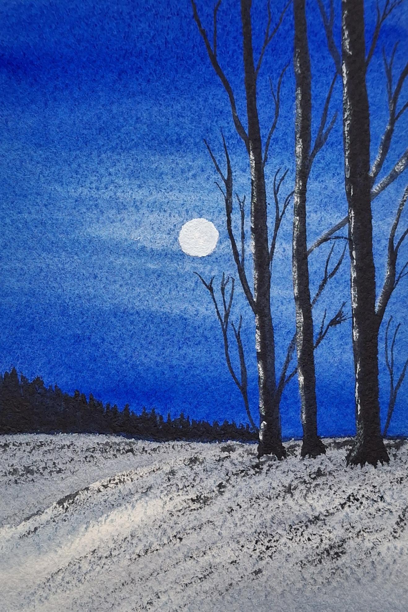 30 Winter Landscapes - image 16 - student project