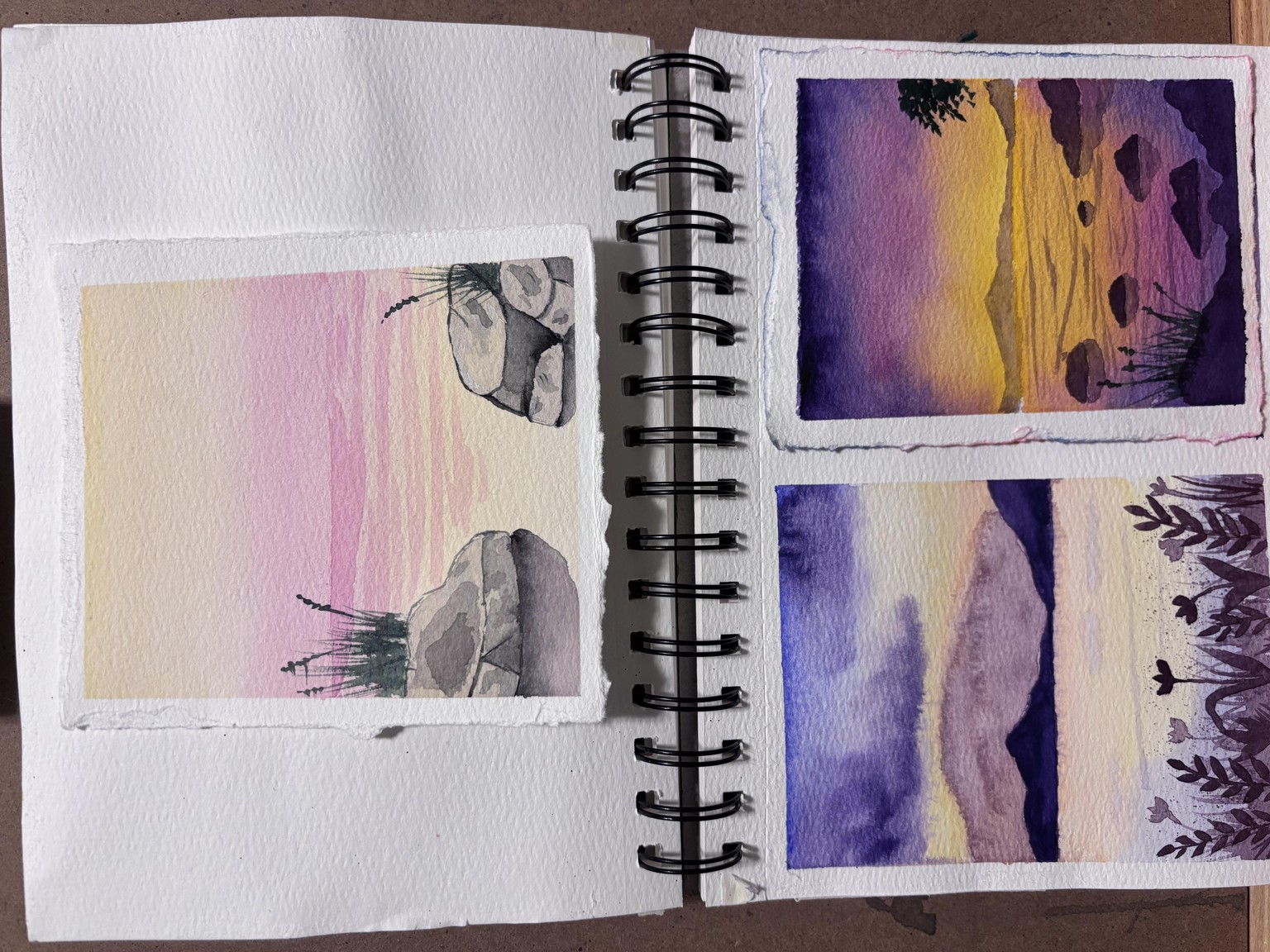 25 Days of Landscapes - image 17 - student project