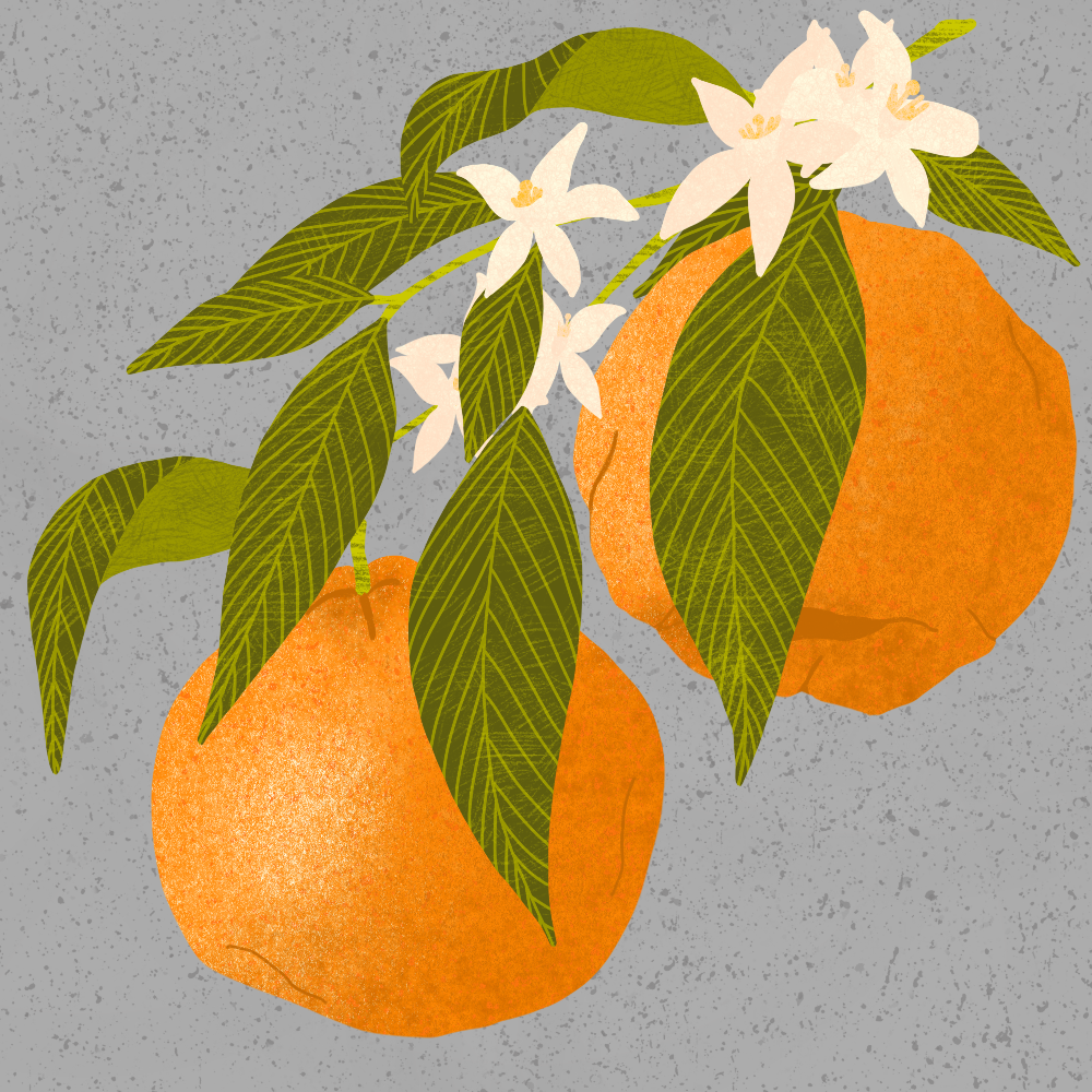 Textured Greenhouse and Oranges - image 2 - student project