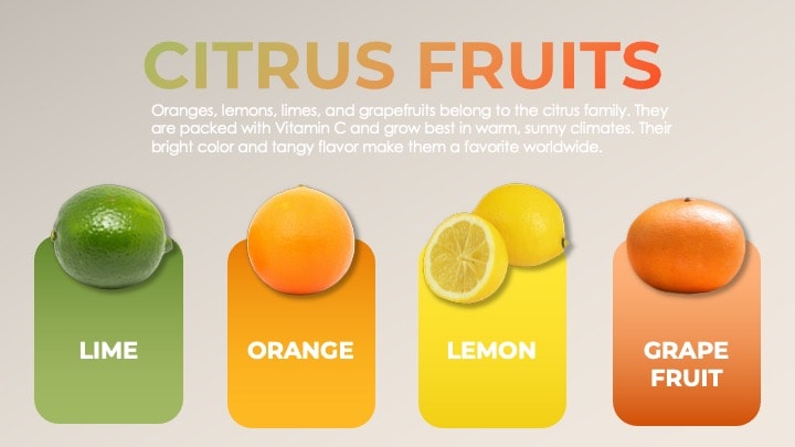 A Wonderful World of Fruits - image 3 - student project