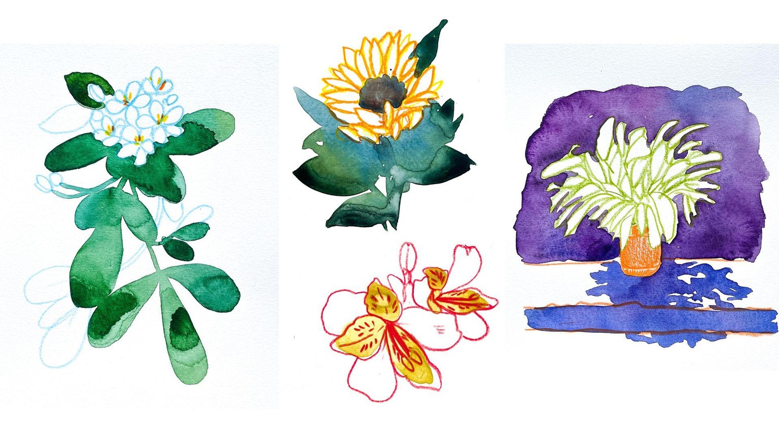 My No-pressure Sketches - image 1 - student project