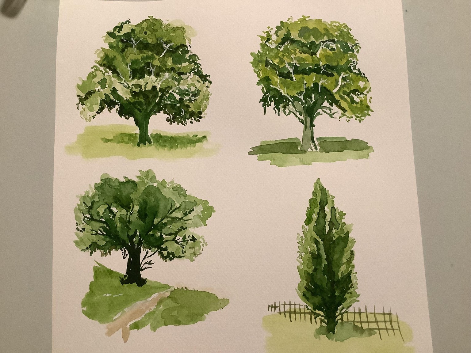 Tree examples - image 1 - student project
