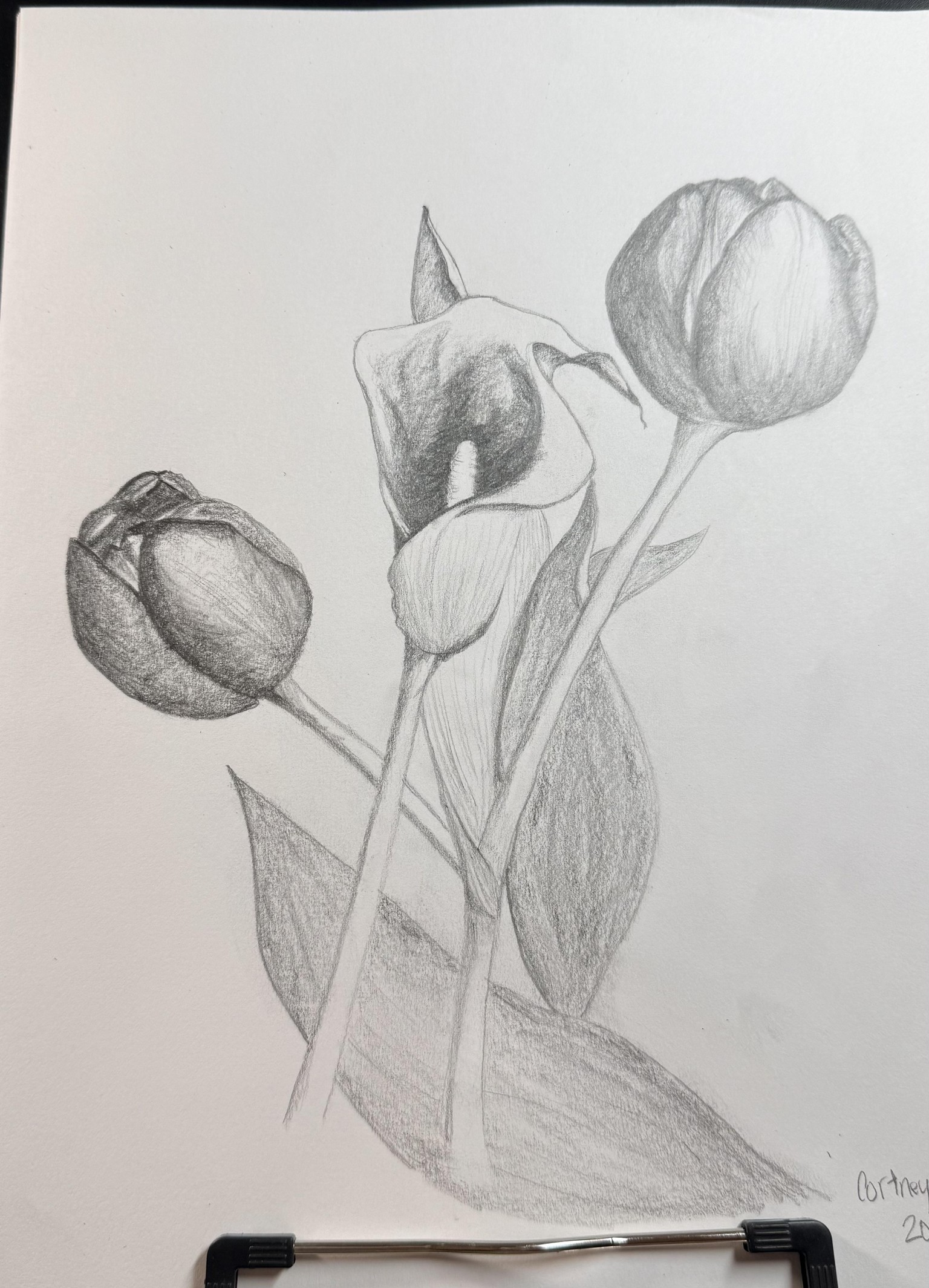 Botanical Demo - image 1 - student project