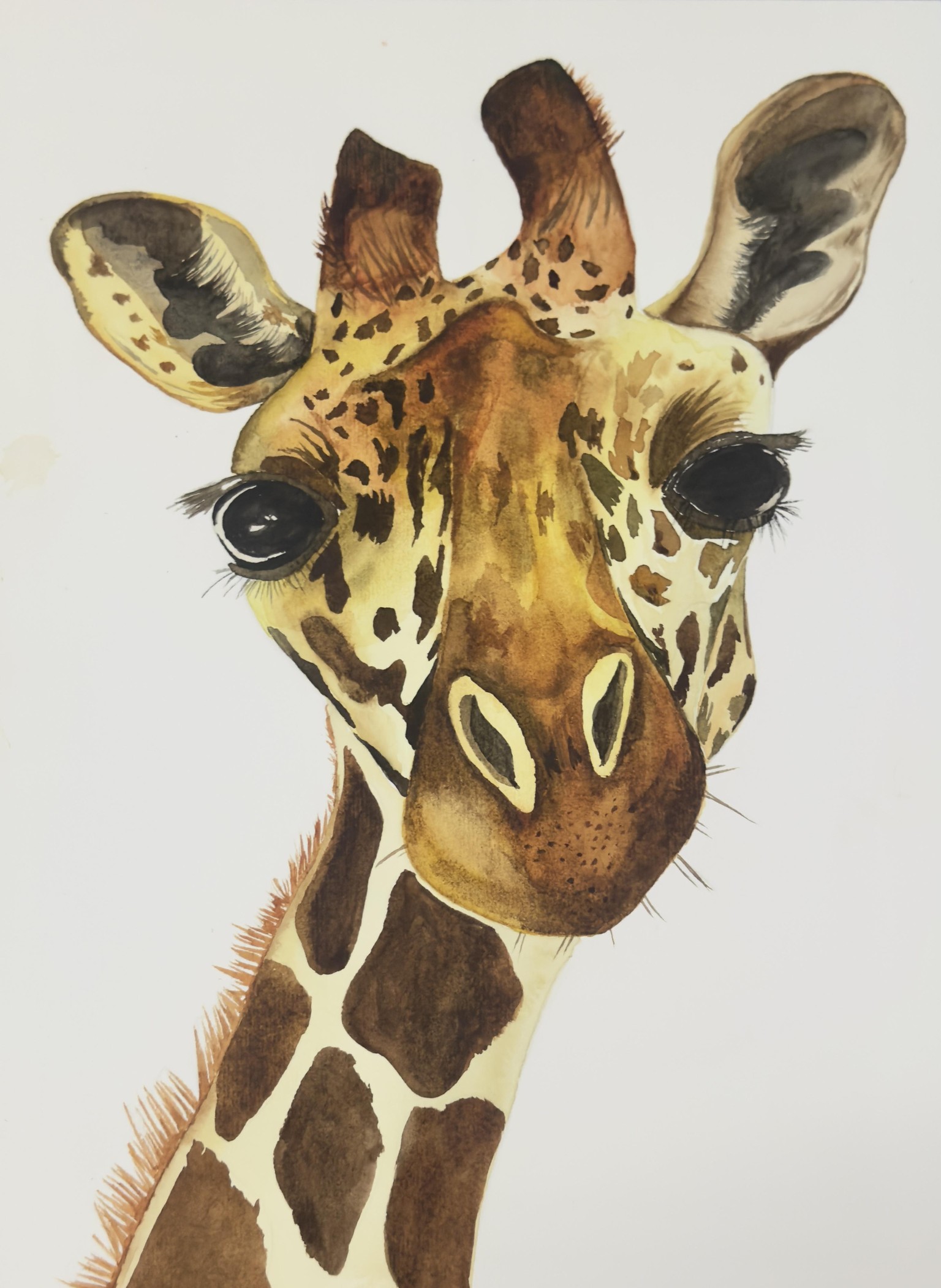 Watercolour giraffe 🦒 - image 1 - student project