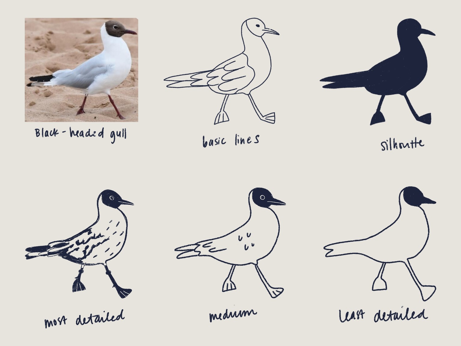 Stylizing birds 🕊️ - image 1 - student project
