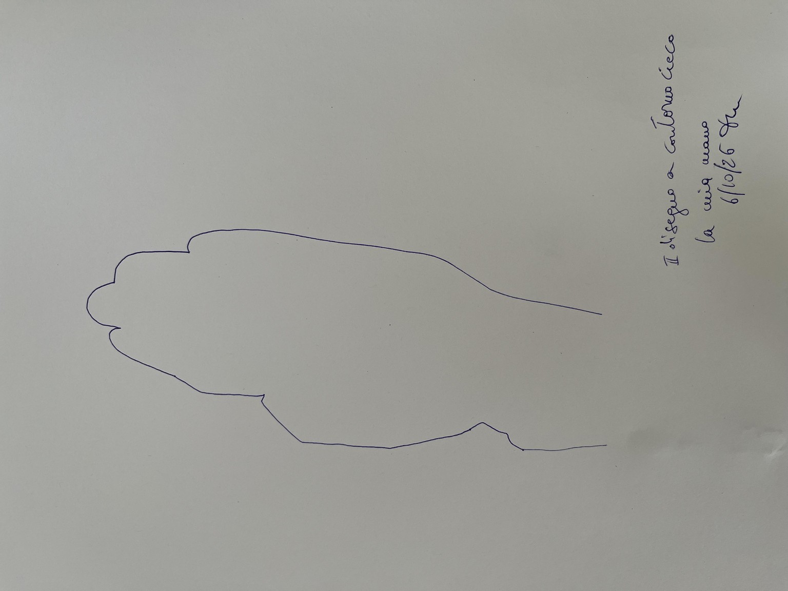 Bling contour drawing - image 4 - student project