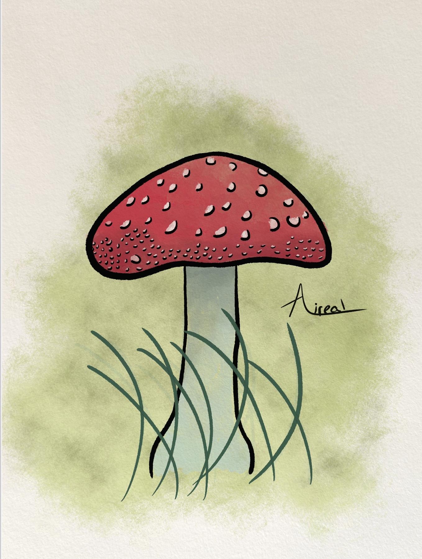 Simple drawings - image 2 - student project