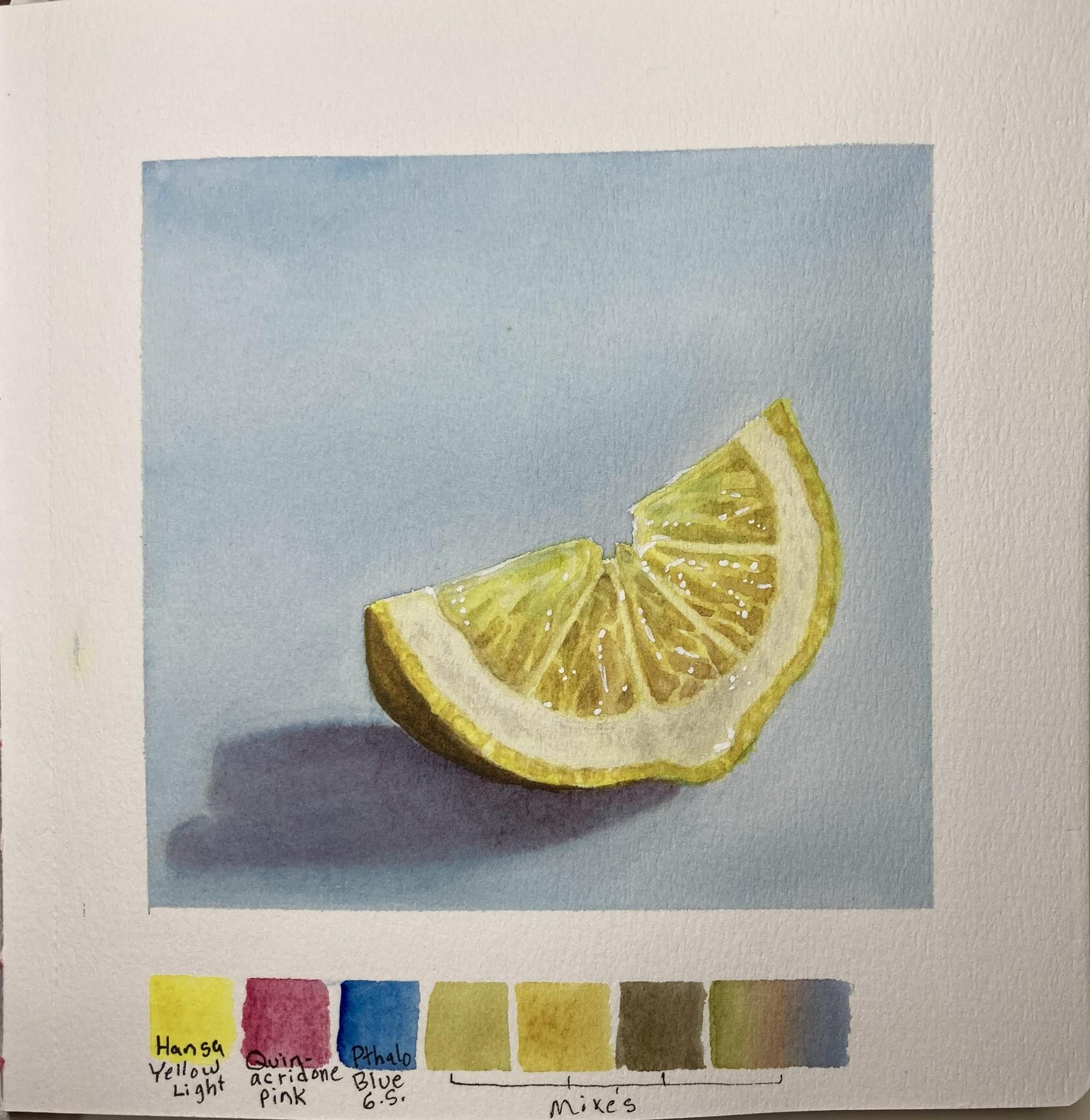 Citrus Transparency - image 2 - student project