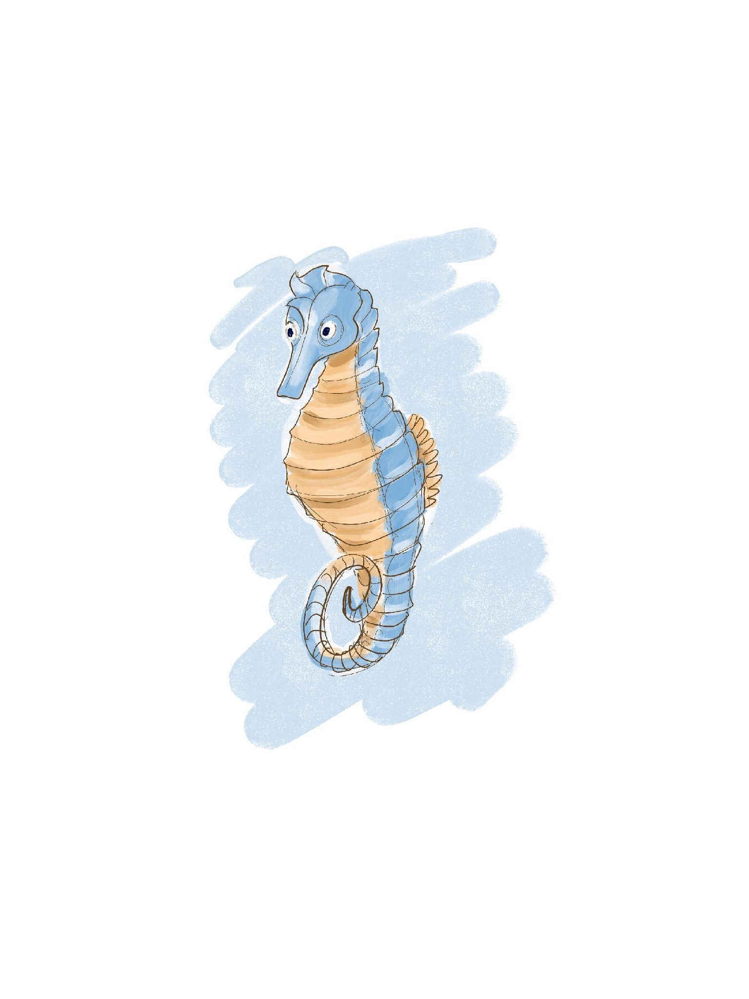 Seahorse - image 2 - student project