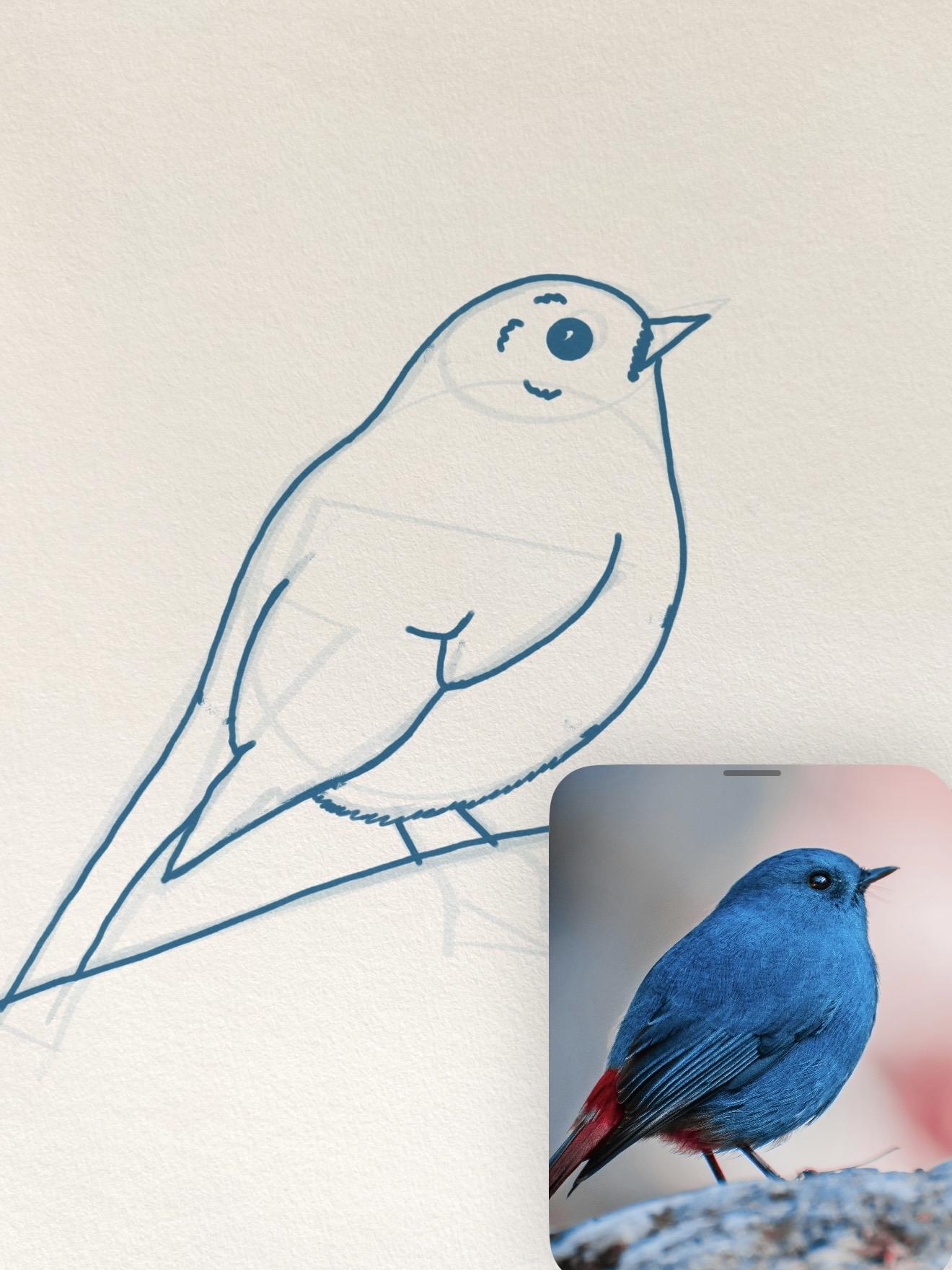 Simple drawings - image 1 - student project